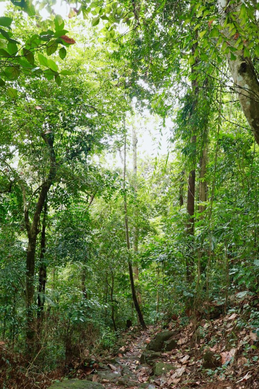 Paradise Eco Garden Kitulgala Exterior foto