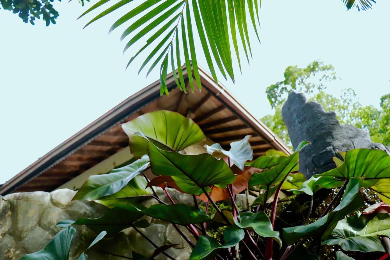 Paradise Eco Garden Kitulgala Exterior foto