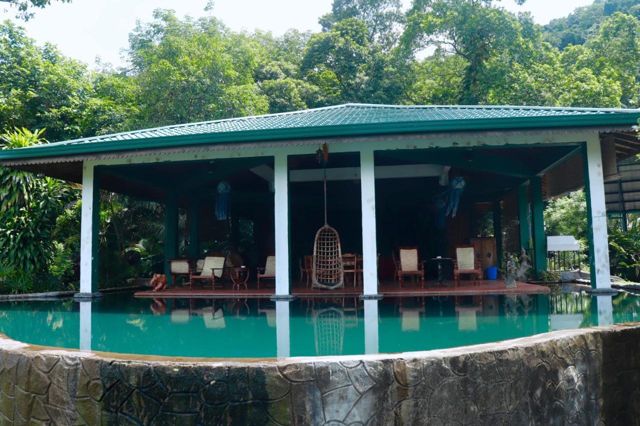 Paradise Eco Garden Kitulgala Exterior foto
