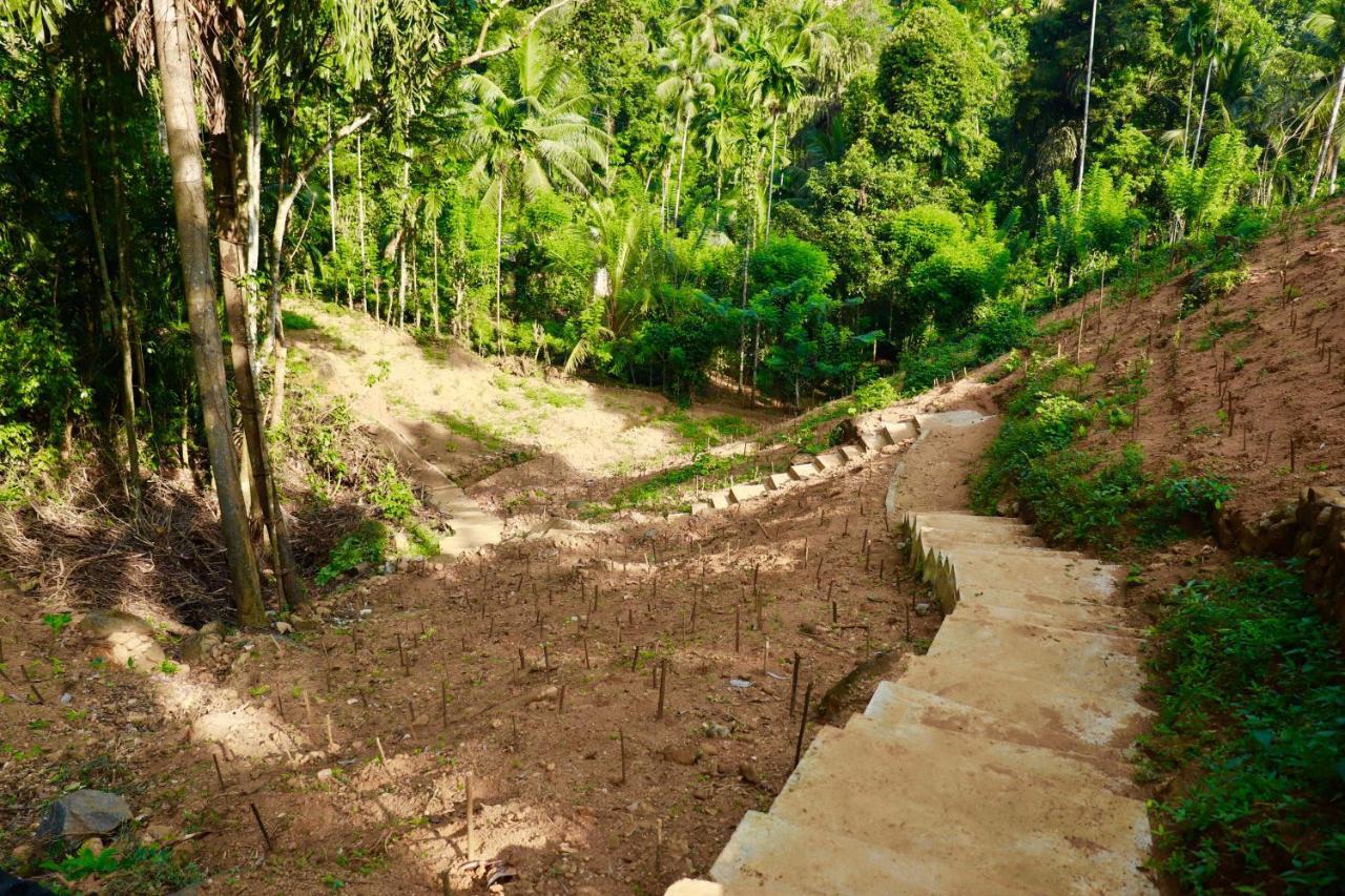 Paradise Eco Garden Kitulgala Exterior foto